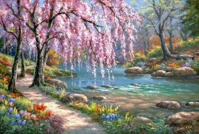 Cherry Blossom